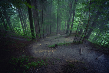 Obraz premium way down to the waterfalls through a forest