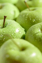 Ripe juicy green apples with drops of water. Close-up.