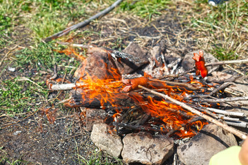 Toasting in the nature.