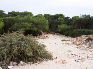 Mallorca Ostküste eine Cala bei Porto Colom