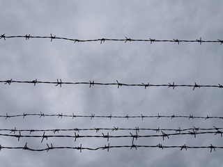 Barbed wire against the sky Close-up photo