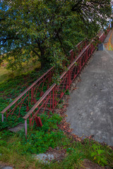bridge in the forest