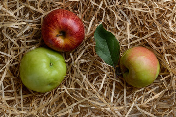 composition of fresh green and red Apple and Apple with leaf