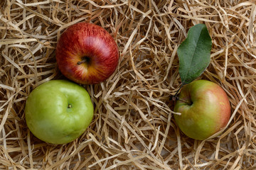 composition of green and red Apple and Apple with leaf