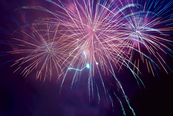 Fototapeta premium Fireworks on the black sky background. Holiday celebration