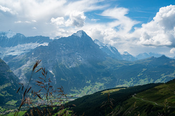 view from Grindelwald First down into the valley and on the mountains and a glacier