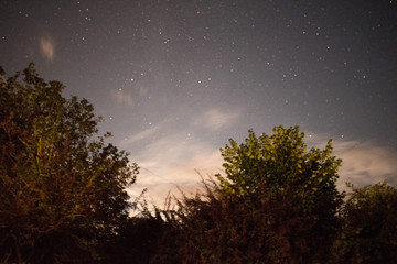 Fototapeta na wymiar Starry sky in Devon
