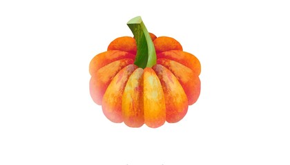 Pumpkin on a white background. Isolated pumpkin closeup painted by paints.