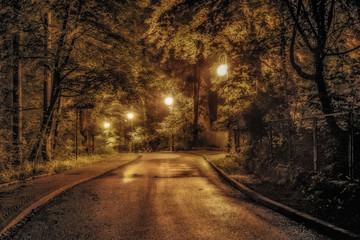 zamglona uliczka wieczorem w parku