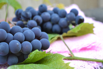 Blue grape close up. Kitchen, natural.