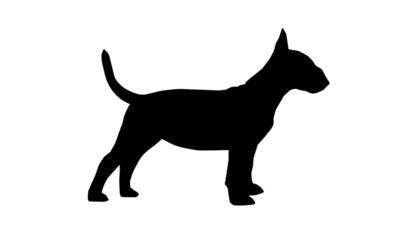 Bullterrier Silhouette