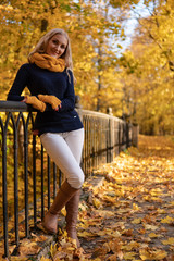 Stot woman near a bridge in an autumn forest with yellow leaves and beautiful reins