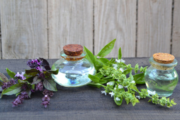 Bottles of essential oil with violet and green basil leafs and flowers on black wooden table