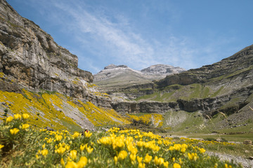 Summer in Ordesa and Monte Perdido National Park, beautiful landscape in the Spanish Pyrenees