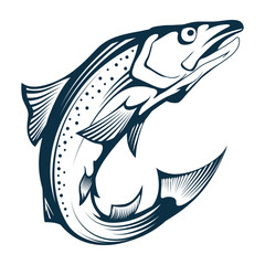Salmon Fish. Hand Drawn Sketch Salmon on white background. Whole Atlantic Salmon. Sea Fish. Fresh Whole Alaskan King Salmon. Fresh Norwegian Fish. Vector graphics to design.