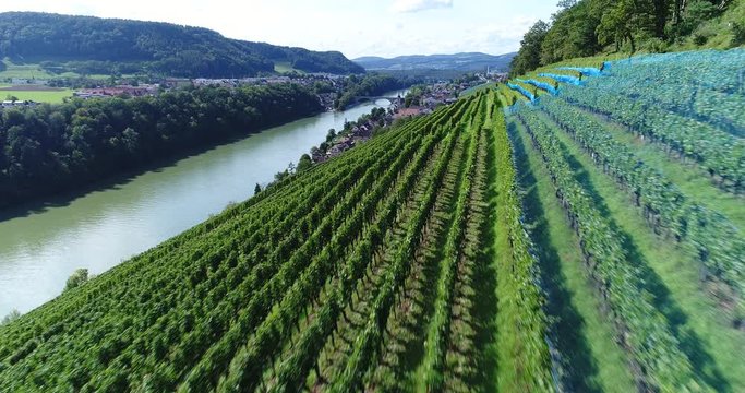 flying over the wineyards 