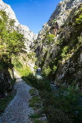 the Cares trail, garganta del cares, in the Picos de Europa Mountains, Spain