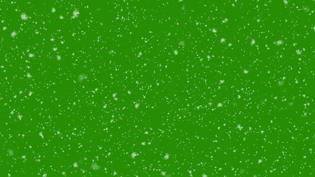Realistic Snow Falling on Green Screen. Winter Creative Background