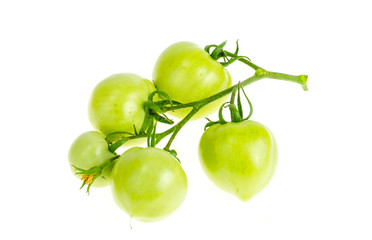 Unripe green tomatoes on branch isolated on white.
