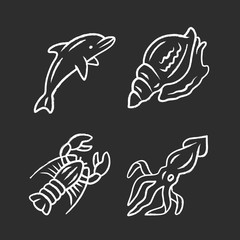 Ocean animals chalk icons set. Dolphin, squid, lobster, triton. Underwater world inhabitants. Swimming fish. Sea fauna. Seafood restaurant. Aquatic creatures. Isolated vector chalkboard illustrations