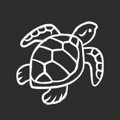Turtle chalk icon. Slow moving reptile with scaly shell. Underwater aquatic animal. Swimming ocean creature. Oceanography and zoology. Marine fauna. Isolated vector chalkboard illustration