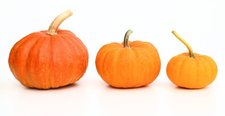 Pumpkins.