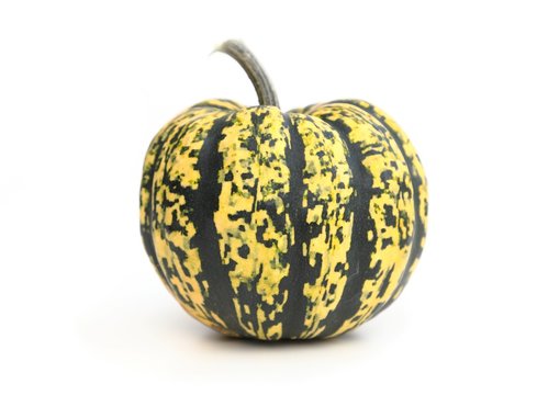 Pumpkin.