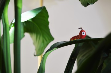 Gusano