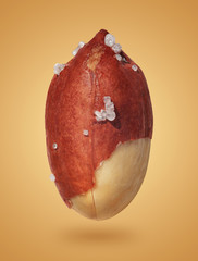 Roasted peanut on colored background