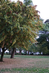 Ravensbergerpark Bielefeld