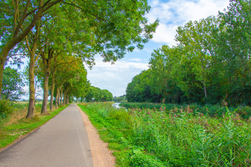 Fototapeta na wymiar road next to Dutch polder landscape