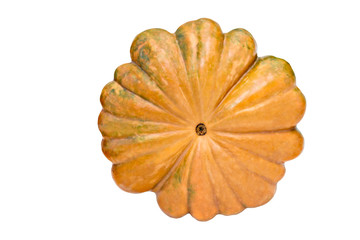 Big pumpkin isolated on a white background.