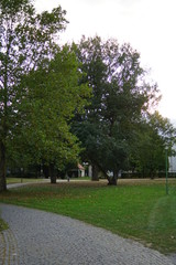Ravensbergerpark Bielefeld