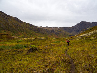 Backpackers Hiking in Alaska, Autumn Tundra, Chugach State Park