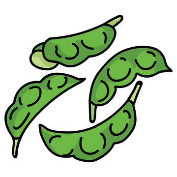 Hand drawn edamame pods. Cute japanese soybean snack food clipart. 