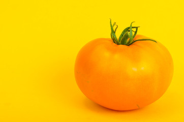 Yellow tomato on bright paper background. Photo