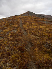 Trail Along Alaskan Ridge in Autumn