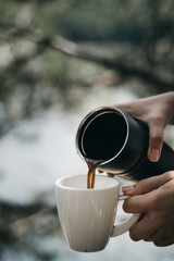 hands holding a cup of coffee