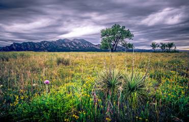 Boulder Flatirons