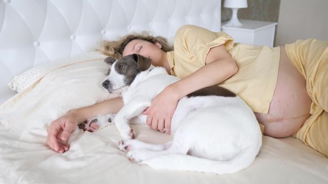 Pregnant Woman Sleeping On Bed With Her Dog Pet