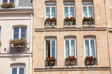 Blooming flowers on a windows of a residential building in Paris