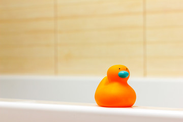Rubber orange Duck in bathtub on beige background. Space for text