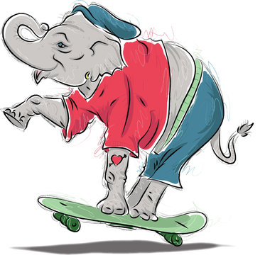 Elephant on Skateboard