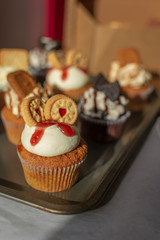 Iced cupcakes on baking sheet and served on plate with coffee