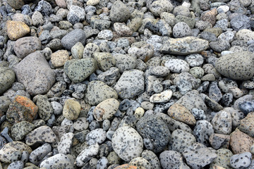 pebble with raindrop sprinkles as background