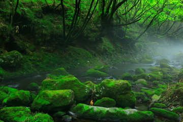 夏の元滝伏流水