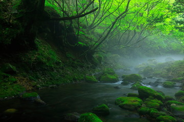 夏の元滝伏流水