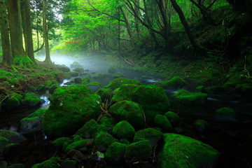夏の元滝伏流水