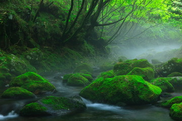 夏の元滝伏流水