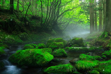 夏の元滝伏流水
